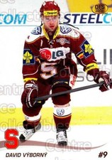 2010-11 Czech OFS #301 David Vyborny