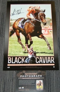 CAVIAR NEGRO 25 VICTORIAS MEJOR FIRMADO A MANO IMPRESIÓN LUKE NOLEN WINX DIVA PHAR LAP - Imagen 1 de 1