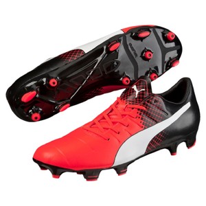 puma evopower ag