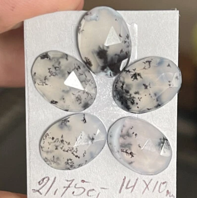 21.75ct 14x10mm 5pc Lot Fine Oval Rose Cut Flat Back Dendrite Opal Cabochons - Image 1 of 4