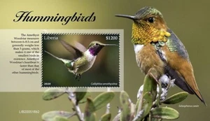 HUMMINGBIRDS Birds/Bird MNH 1v-Stamp Sheet #1653 (2020 Liberia) - Picture 1 of 1