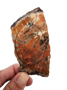 Red Spiderweb Jasper Slab 50.2 grams - Picture 1 of 2
