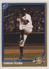 2007 Grandstand Charleston RiverDogs Ferdin Tejeda #23