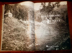Mexico Yucatan Maya 19th C Photography, Salvin, Charnay,  Maler, Maudslay. LtdEd - Picture 1 of 12