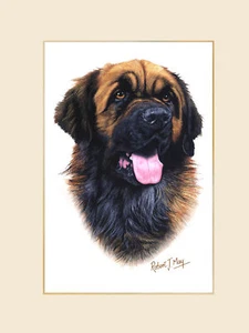 Original Leonberger Painting by Robert May - Picture 1 of 1