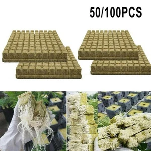Efficient and Reliable Plant Cloning Solution 50/100 Pcs Starter Cubes - Picture 1 of 26