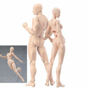 Archetype Male Female PVC Movable Action Figure Body Model Limbs Doll