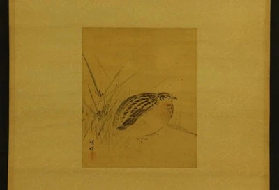 ARTE DE ROLLO COLGANTE JAPONÉS Pintura "Codorniz" Yokoyama Seiki #E8796 Foto 1 de 4