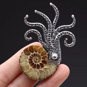Unusual Octopus Shell Brooch. Looks like an amorite.