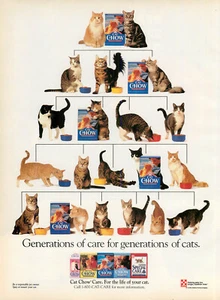 Magazine Print Ad PURINA 1993 Cat Chow Family Tree Cat Food - Picture 1 of 1