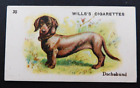 1914 Wills Specialities Cigarette Card Best Dogs of their Breed #33 Dachshund