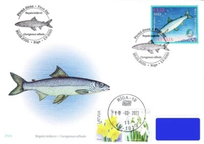 Latvia 2023 (05) Latvian Fund for Nature - Fish - Vendace - Kingfisher (a. FDC) - Image 1 of 2