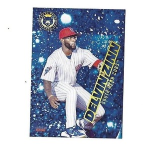 2021 South Bend Cubs Delvin Zinn