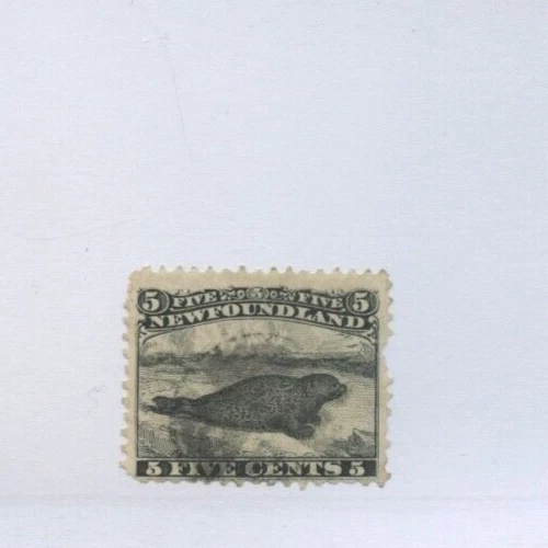 🍁NFLD #26 NEGRO 5c siervos cortos gato $150 Terranova, usado Canadá Foto 1 de 1