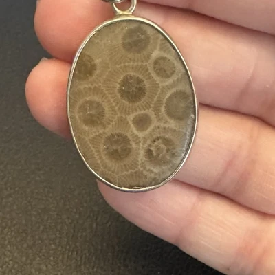 Hermoso colgante Petoskey pulido Foto 1 de 4