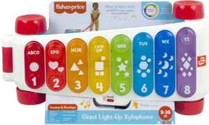 Fisher Price riesiges leuchtendes Xylophon, vorgetäuschtes Musikinstrument Zugspielzeug - Bild 1 von 6
