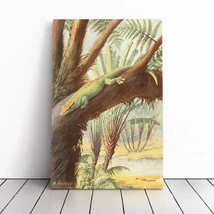 Vintage Heubach, Walter Madagascan Gecko Canvas Wall Art Print Framed Picture - Picture 1 of 7