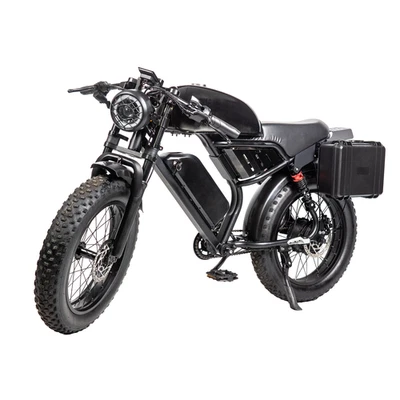 Bicicleta elétrica suja 1200W pico 48V 20" motocicleta elétrica off road bicicleta elétrica 30 mph - Imagem 1 de 4