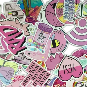 53 PIEZAS Lindo Rosa Niña Lote Pegatinas Patineta Vinilo Laptop Calcomanías de Equipaje Dopa - Imagen 1 de 12