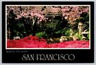 San Francisco California Japanese Tea Garden Golden Gate Park Postcard
