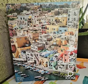 ⚡️Blanc Puzzles By Buffalo Games Island Procida, Italy Jigsaw Puzzle - 1000pc - Picture 1 of 8