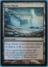 Frost Marsh FOIL Coldsnap HEAVILY PLD Uncommon MAGIC CARD (ID# 211966) ABUGames