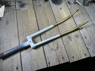 Bicicleta de colección horquilla de acero marco de acero dorado y blanco ruedas de 27” NOS Foto 1 de 4