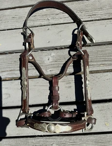 CIRCLE Y Dark Oil German Silver Western Show Halter - WEANLING/SM WEANLING - Picture 1 of 12