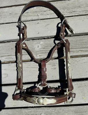 Halter de exhibición occidental de plata alemana de aceite oscuro Circle Y - WEANLING/SM WEANLING Foto 1 de 4