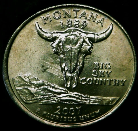 2007 D Montana Quarter Struck Through Grease & Feeder Finger Gouges! Mint Error! Cover