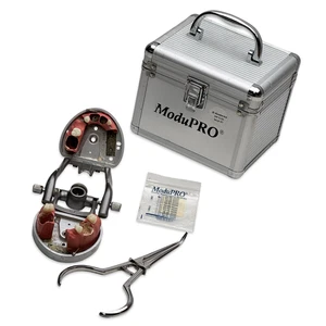 Acadental MP E120 MQR-PC Modupro Dental Typodont mit Metallgehäuse, Zähne, Halterung - Bild 1 von 4