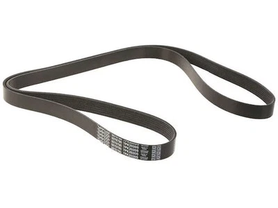 Cinturón multi costilla Dayco 83892XPXP 2009 2010 2011 2012 para Infiniti G37 2008-2013 Foto 1 de 2