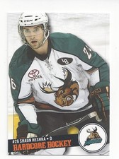 2008-09 Manitoba Moose (AHL) Shaun Heshka (Kärpät)