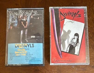TWO different DIVINYLS cassette TAPES including a PROMO TAPE - Picture 1 of 5