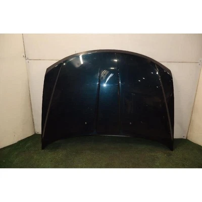 COFANO ANT. FIAT FREEMONT (11-16) 24 2.0 MJT (125KW) 4WD SUV 5P/D/1956CC 2011 Foto 1 de 4