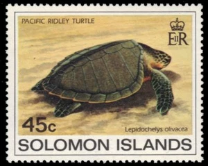 SOLOMON ISLANDS 491 - Olive Ridley Sea Turtle "Lepidochelys olivacea" (pa93432) - Picture 1 of 1
