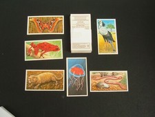 Brooke Bond - Incredible Creatures ( Sheen Lane). (1985)   Set of 40 cards VGC