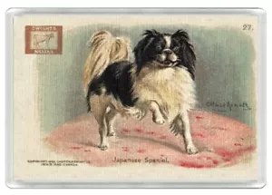 JAPANESE CHIN DOG SODA ADVERT ACRYLIC NOVELTY ART PRINT FRIDGE MAGNET GIFT - Picture 1 of 1