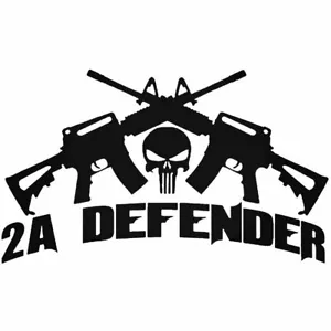 Calcomanía de calavera y pistola defensor de la 2a Enmienda derechos de arma profesionales - Imagen 1 de 1