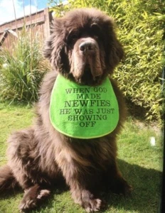 BIG DOG  NEWFOUNDLAND ,ST BERNARD , SLOBBER DROOL BIB WHEN GOD MADE NEWFIES - Picture 1 of 2