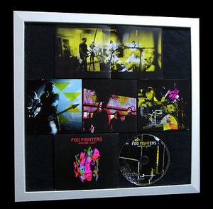 FOO FIGHTERS+Wasting Light+GALLERY QUALITY FRAMED+EXPRESS GLOBAL SHIP+Not Signed - Imagen 1 de 1