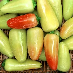 Semi di peperoncino CAL ORO NON OGM varietà cimelio migliorata GIALLO JALAPENO CALDO! - Foto 1 di 8