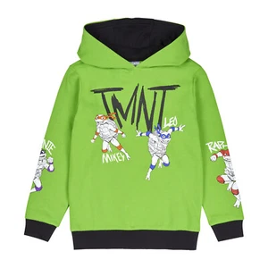 Teenage Mutant Ninja Turtles Hoodie | TMNT Hooded Jumper Sweatshirt for Boys - Picture 1 of 6