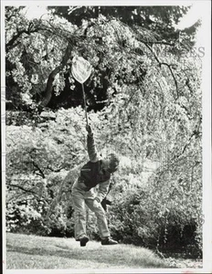 1982 Press Photo Chris Schwindt catching butterflies & insects at Arboretum - Picture 1 of 2