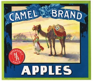 ORIGINAL APPLE CRATE LABEL VINTAGE WATSONVILLE SCARCE CAMEL H&H 1920S STONE LITH - Picture 1 of 1