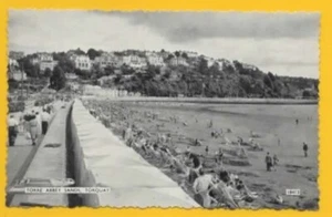 3110/535+ Postcard TORQUAY Devon - Picture 1 of 3