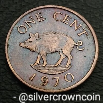 Bermuda 1 Cent 1970. KM#15. One Penny coin. Elizabeth II. Wild Boar. Animals. P - Image 1 of 4