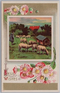 Pastor con ovejas, margaritas, mejores deseos, postal en relieve c1912 - Imagen 1 de 2