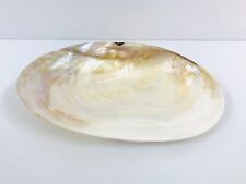 Vintage mother of pearl Plate| vintage shell plate