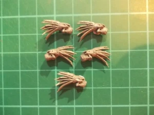 Warhammer 40K - 5 Kroot skulls Base decor - 40k bits - Picture 1 of 1